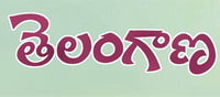 సంక్రాంతి శుభవేళ.. మరో కొత్త రికార్డు సృష్టించిన తెలంగాణ?